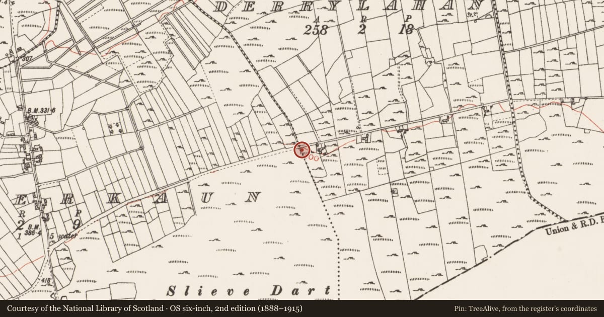 Ordnance Survey six-inch map, 2nd edition (1888–1915) covering the location of Sweathouse, Derrylahan, County Roscommon, with a pin at the register's coordinates