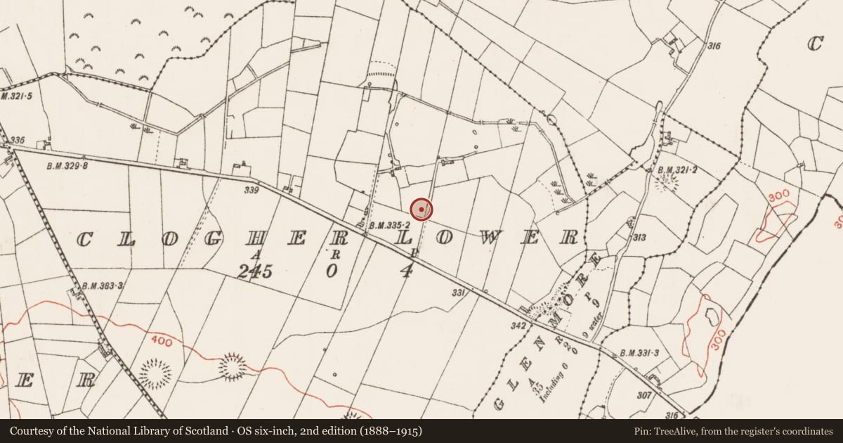 Ordnance Survey six-inch map, 2nd edition (1888–1915) covering the location of Barrow - unclassified, Clogher Lower, County Roscommon, with a pin at the register's coordinates