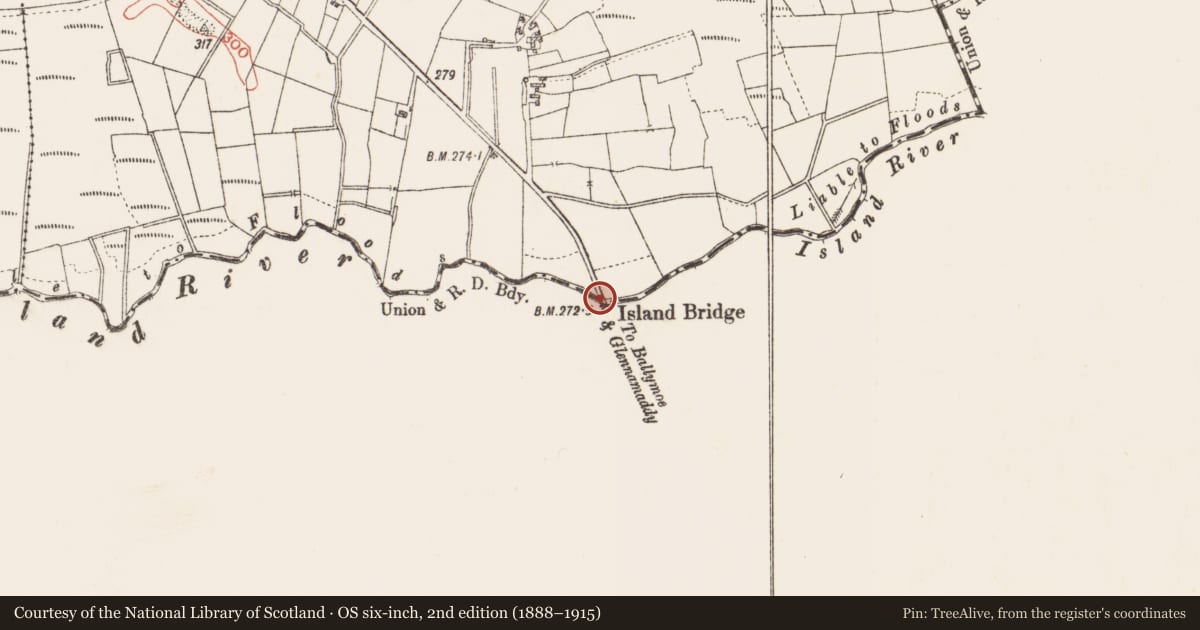 Ordnance Survey six-inch map, 2nd edition (1888–1915) covering the location of Bridge, Meelickroe, County Roscommon, with a pin at the register's coordinates