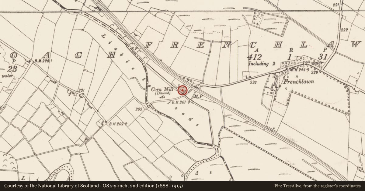 Ordnance Survey six-inch map, 2nd edition (1888–1915) covering the location of Mill - unclassified, Frenchlawn, County Roscommon, with a pin at the register's coordinates