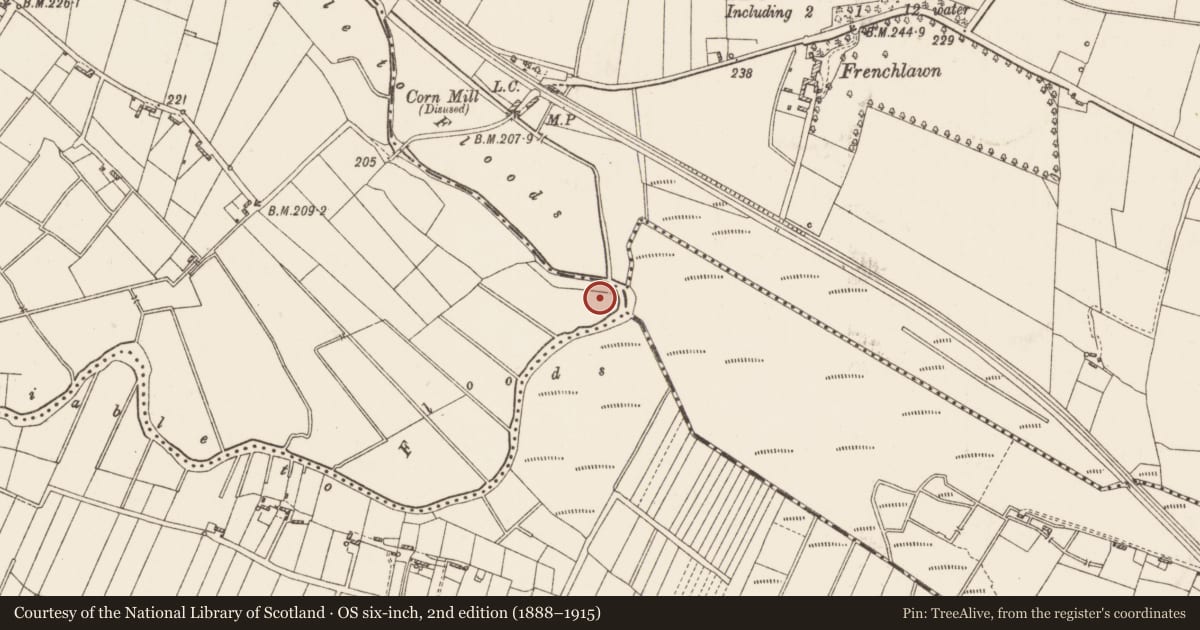 Ordnance Survey six-inch map, 2nd edition (1888–1915) covering the location of Promontory fort - inland, Shankoagh, County Roscommon, with a pin at the register's coordinates