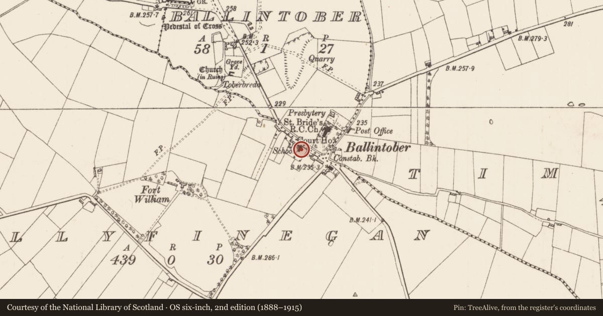 Ordnance Survey six-inch map, 2nd edition (1888–1915) covering the location of Stone head, Ballintober, County Roscommon, with a pin at the register's coordinates