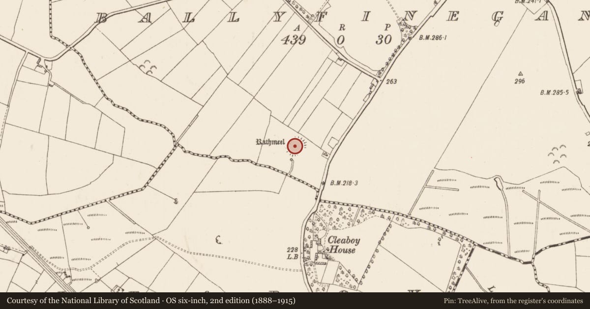 Ordnance Survey six-inch map, 2nd edition (1888–1915) covering the location of Ringfort - rath, Ballyfinegan, County Roscommon, with a pin at the register's coordinates