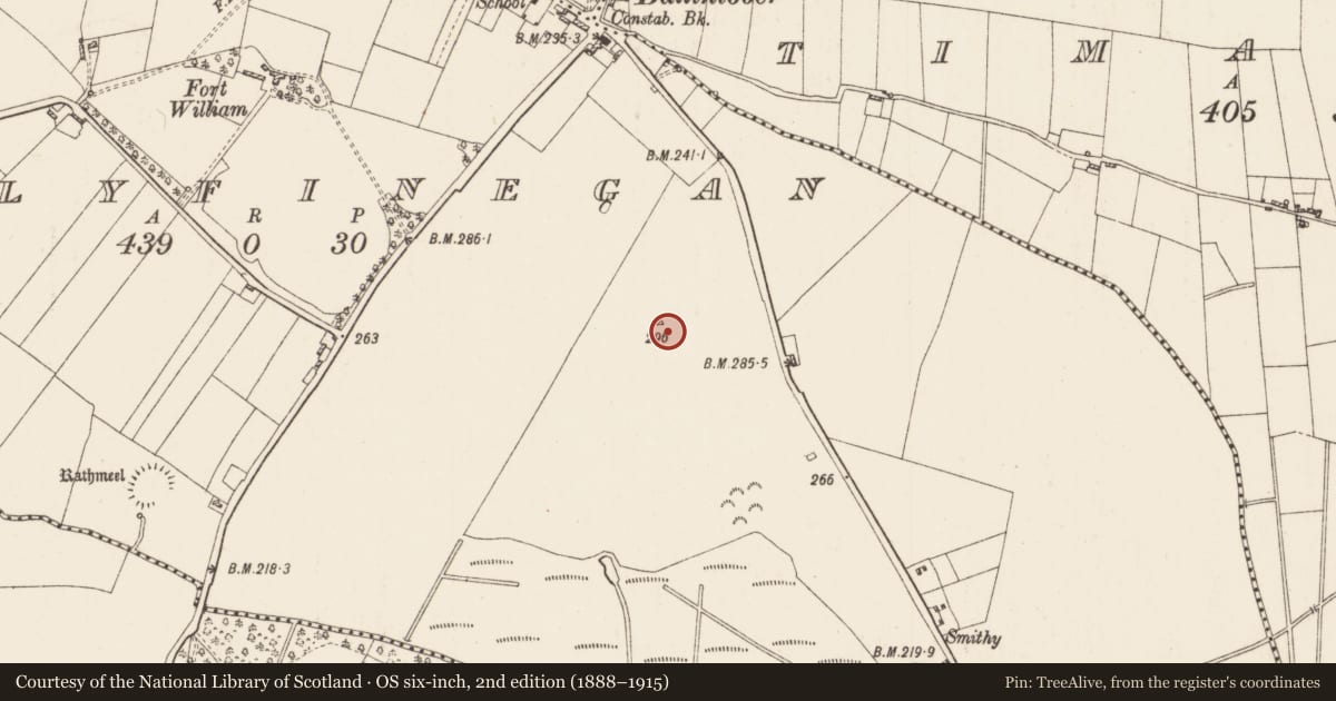 Ordnance Survey six-inch map, 2nd edition (1888–1915) covering the location of Ringfort - rath, Ballyfinegan, County Roscommon, with a pin at the register's coordinates