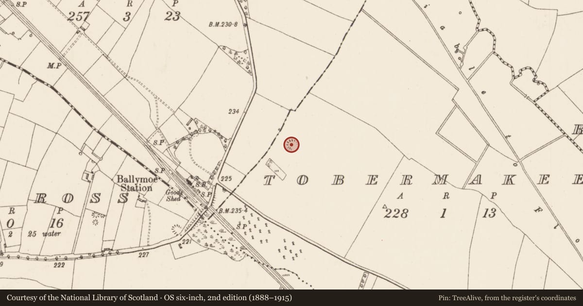 Ordnance Survey six-inch map, 2nd edition (1888–1915) covering the location of Ringfort - rath, Tobermakee, County Roscommon, with a pin at the register's coordinates