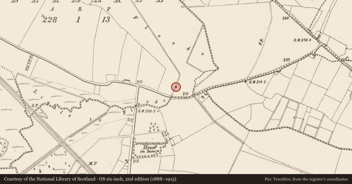 Ordnance Survey six-inch map, 2nd edition (1888–1915) covering the location of Mill - unclassified, Tobermakee, County Roscommon, with a pin at the register's coordinates