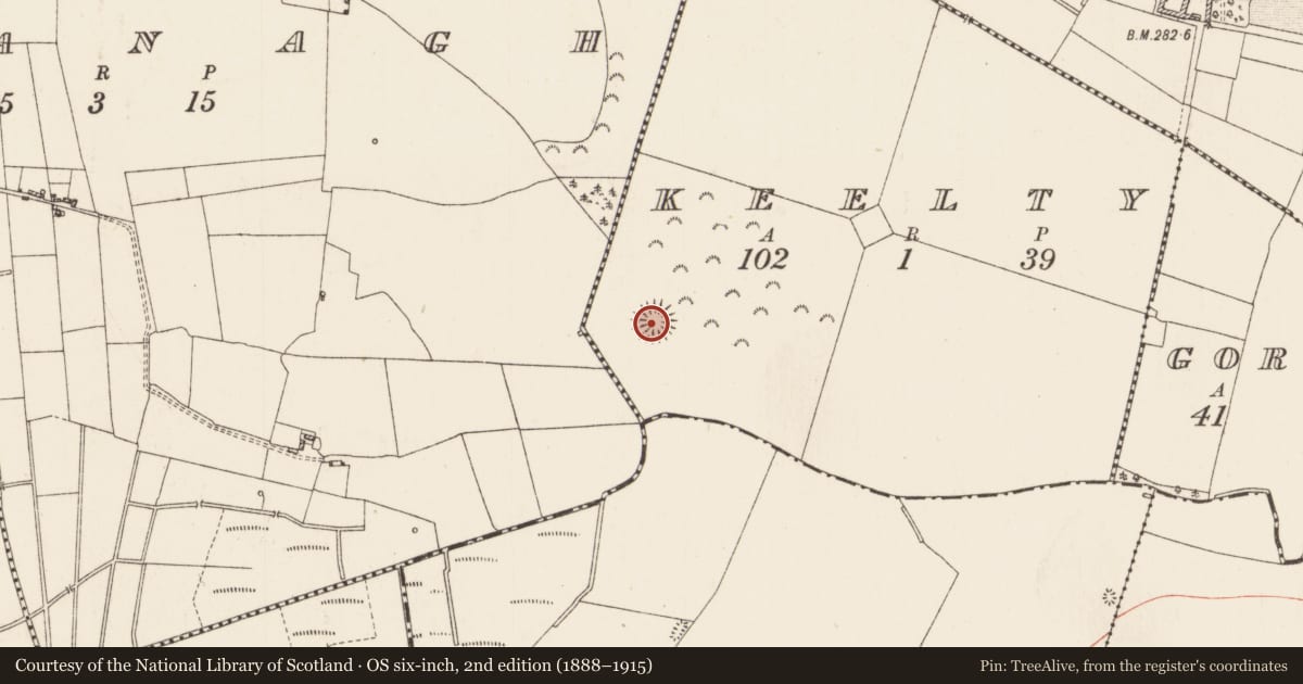 Ordnance Survey six-inch map, 2nd edition (1888–1915) covering the location of Ringfort - rath, Keelty, County Roscommon, with a pin at the register's coordinates