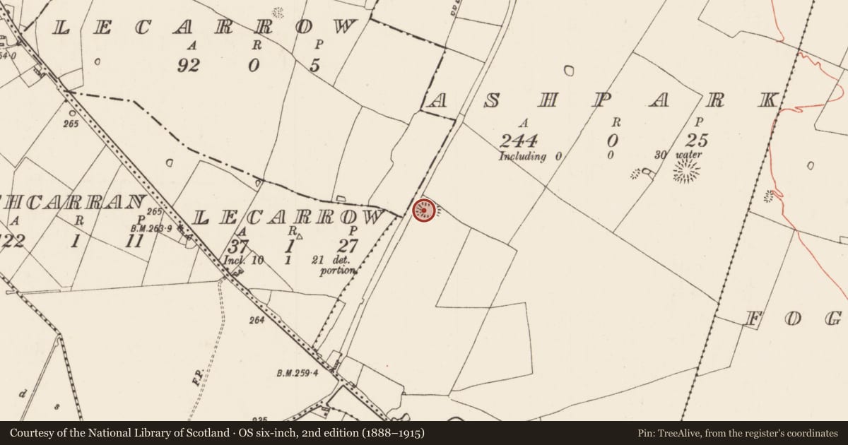 Ordnance Survey six-inch map, 2nd edition (1888–1915) covering the location of Ringfort - rath, Ashpark, County Roscommon, with a pin at the register's coordinates