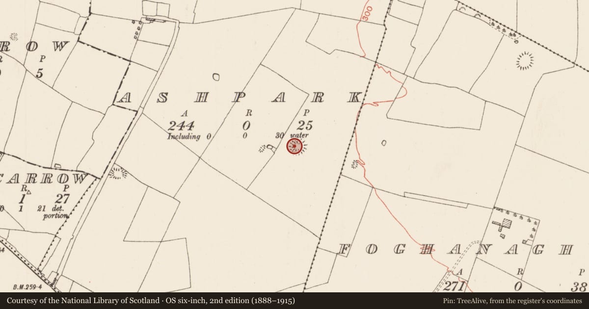Ordnance Survey six-inch map, 2nd edition (1888–1915) covering the location of Ringfort - rath, Ashpark, County Roscommon, with a pin at the register's coordinates