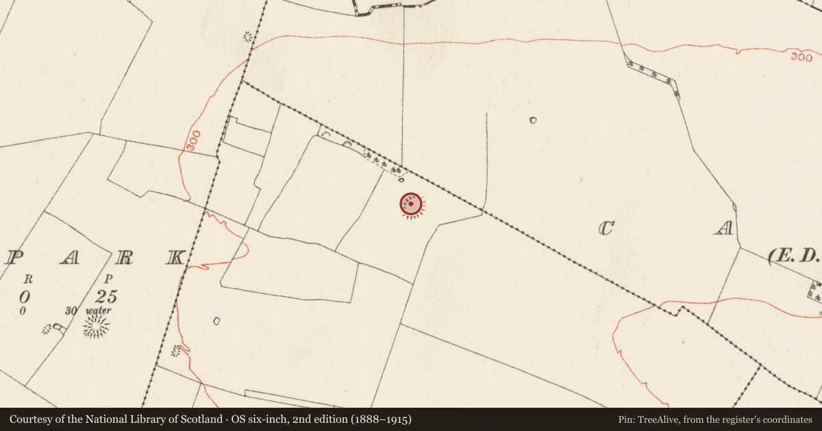 Ordnance Survey six-inch map, 2nd edition (1888–1915) covering the location of Ringfort - rath, Foghanagh More, County Roscommon, with a pin at the register's coordinates