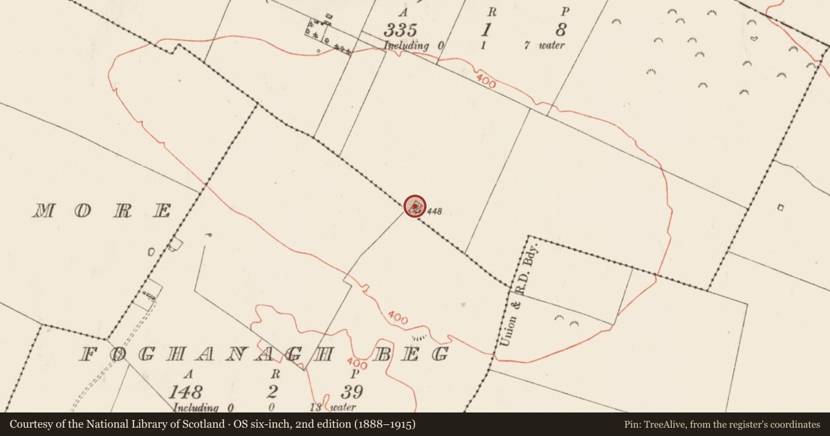 Ordnance Survey six-inch map, 2nd edition (1888–1915) covering the location of Barrow - ring-barrow, Caran, County Roscommon, with a pin at the register's coordinates