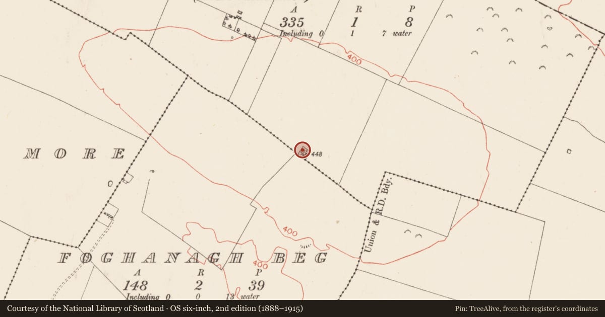 Ordnance Survey six-inch map, 2nd edition (1888–1915) covering the location of Standing stone, Caran, County Roscommon, with a pin at the register's coordinates