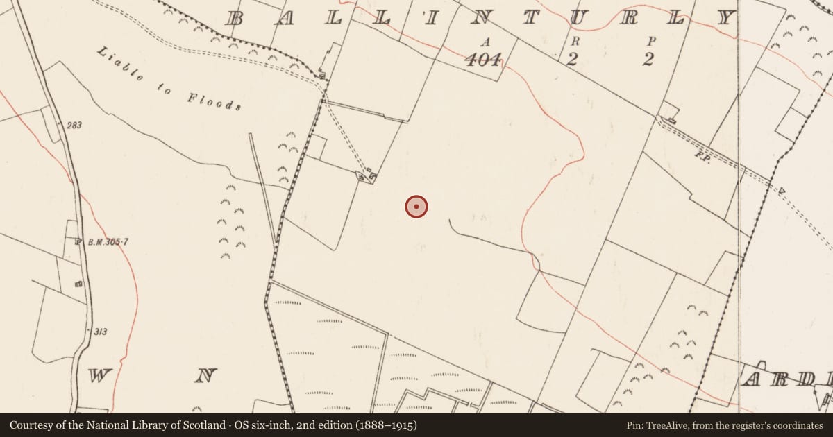 Ordnance Survey six-inch map, 2nd edition (1888–1915) covering the location of Barrow - ring-barrow, Ballinturly, County Roscommon, with a pin at the register's coordinates