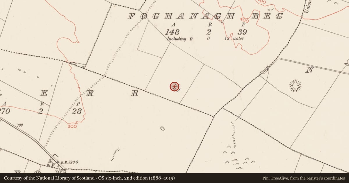 Ordnance Survey six-inch map, 2nd edition (1888–1915) covering the location of Barrow - ring-barrow, Foghanagh Beg, County Roscommon, with a pin at the register's coordinates
