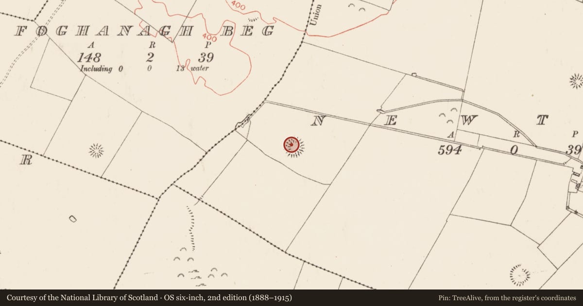 Ordnance Survey six-inch map, 2nd edition (1888–1915) covering the location of Ringfort - rath, Newtown, County Roscommon, with a pin at the register's coordinates