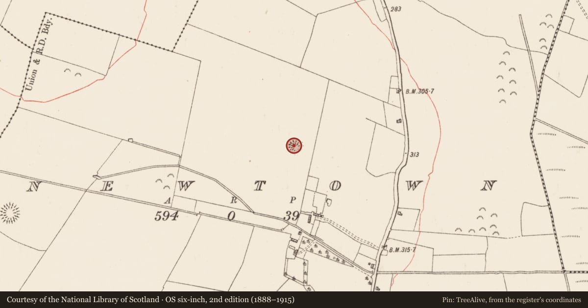 Ordnance Survey six-inch map, 2nd edition (1888–1915) covering the location of Ringfort - rath, Newtown, County Roscommon, with a pin at the register's coordinates