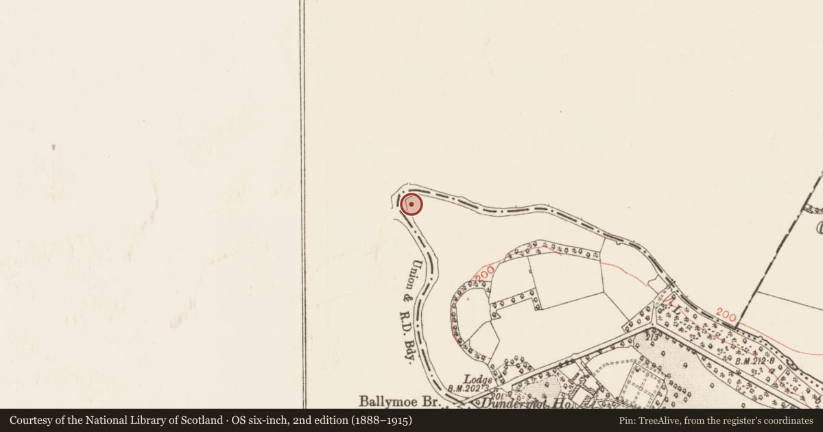 Ordnance Survey six-inch map, 2nd edition (1888–1915) covering the location of Promontory fort - inland, Dundermot, County Roscommon, with a pin at the register's coordinates