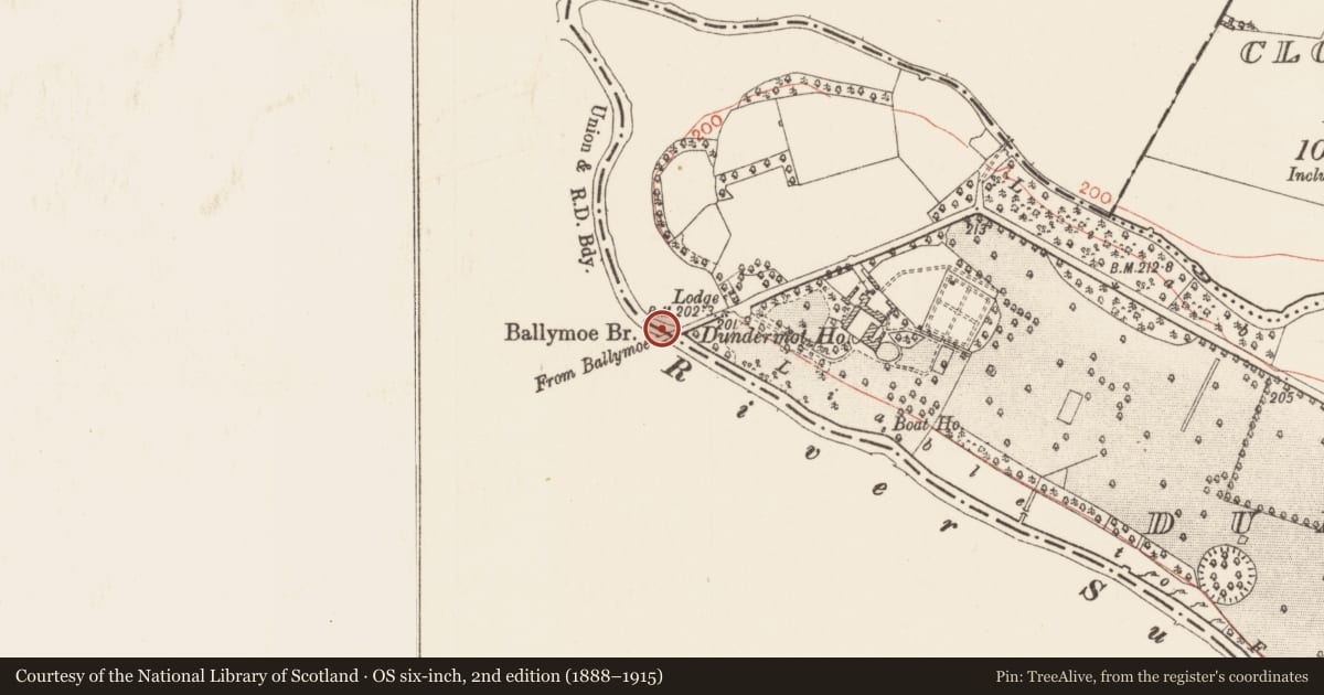 Ordnance Survey six-inch map, 2nd edition (1888–1915) covering the location of Bridge, Dundermot, County Roscommon, with a pin at the register's coordinates