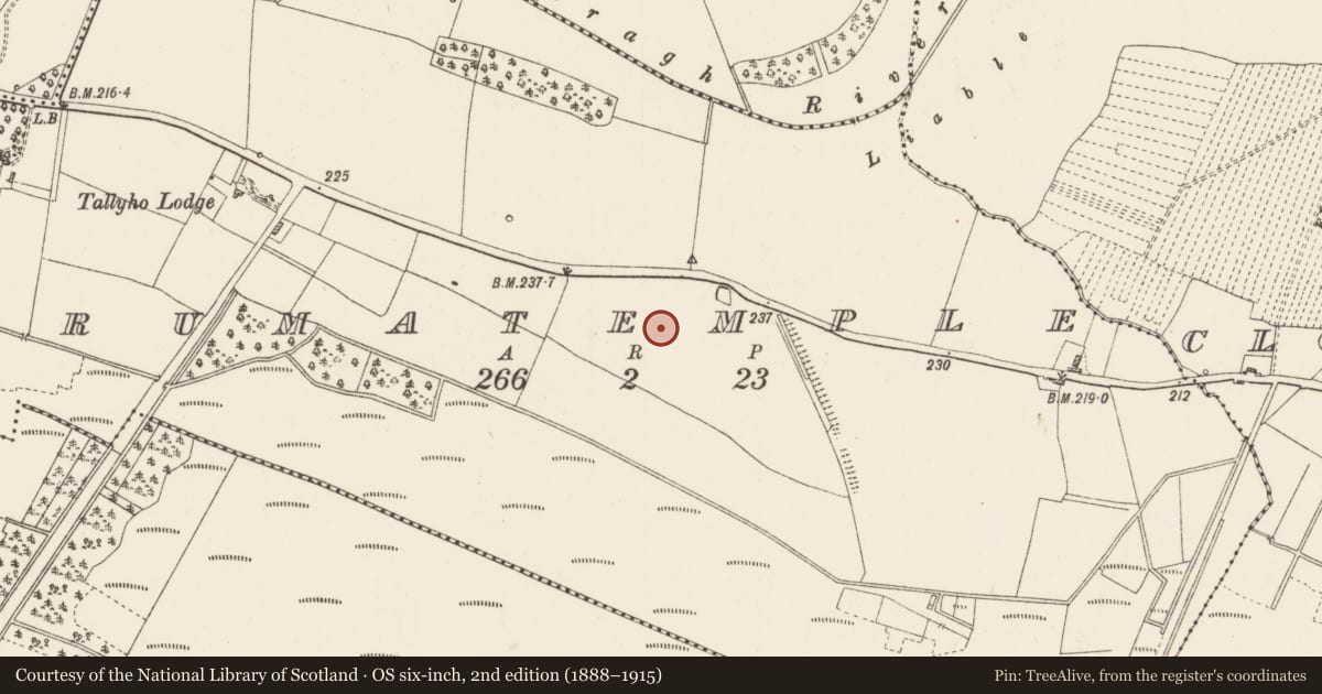 Ordnance Survey six-inch map, 2nd edition (1888–1915) covering the location of Ringfort - rath, Drumatemple, County Roscommon, with a pin at the register's coordinates
