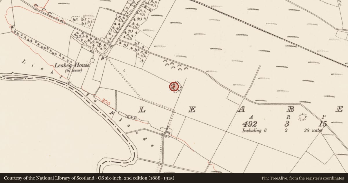Ordnance Survey six-inch map, 2nd edition (1888–1915) covering the location of Ringfort - rath, Leabeg, County Roscommon, with a pin at the register's coordinates