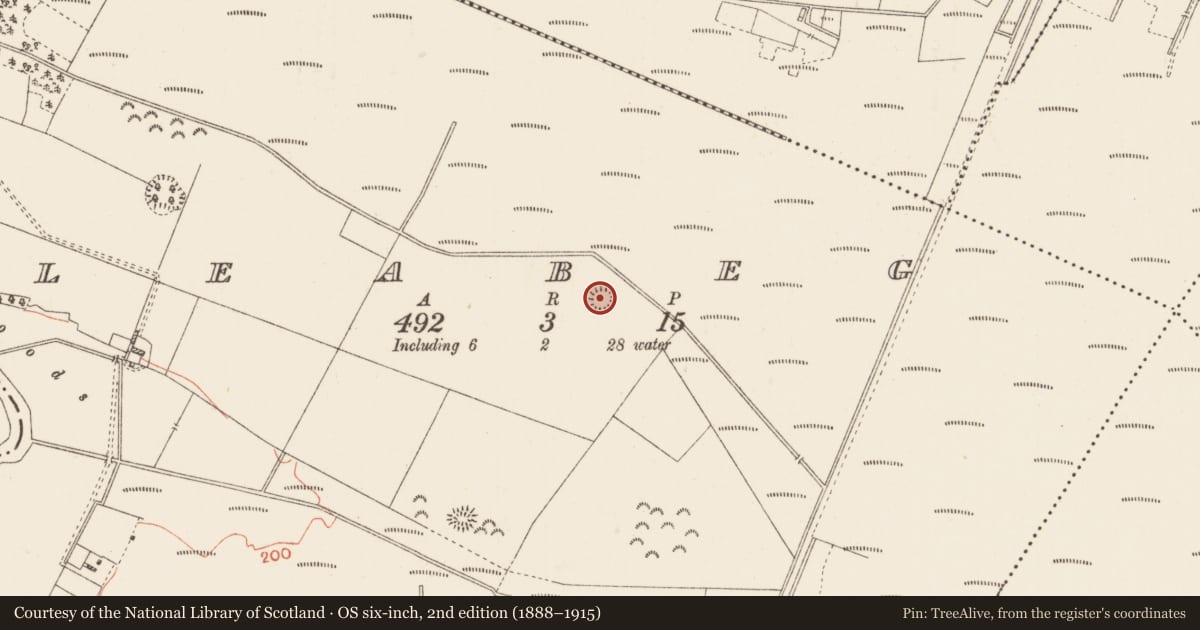 Ordnance Survey six-inch map, 2nd edition (1888–1915) covering the location of Ringfort - rath, Leabeg, County Roscommon, with a pin at the register's coordinates