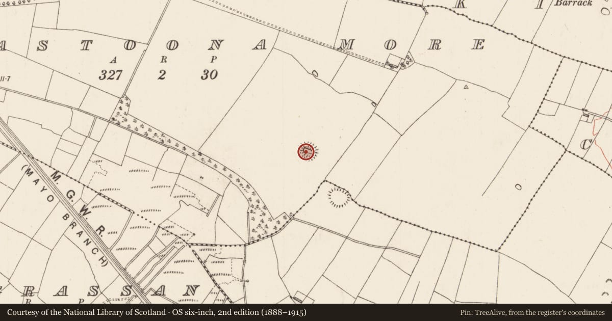 Ordnance Survey six-inch map, 2nd edition (1888–1915) covering the location of Ringfort - rath, Corrastoona More, County Roscommon, with a pin at the register's coordinates