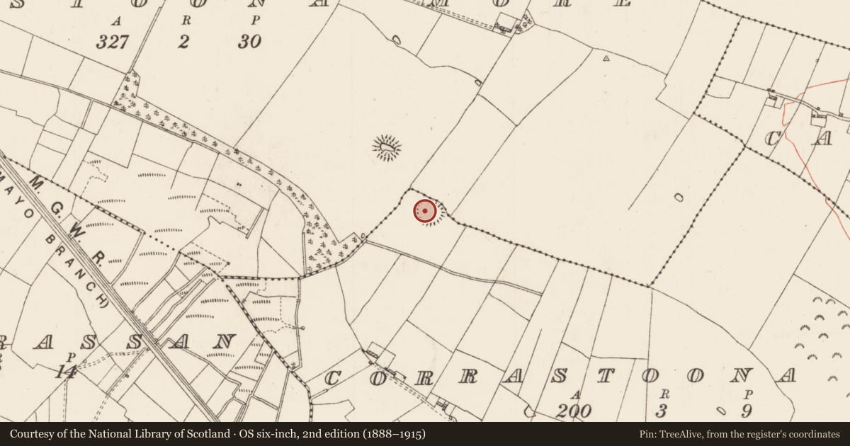 Ordnance Survey six-inch map, 2nd edition (1888–1915) covering the location of Ringfort - rath, Corrastoona Beg, County Roscommon, with a pin at the register's coordinates