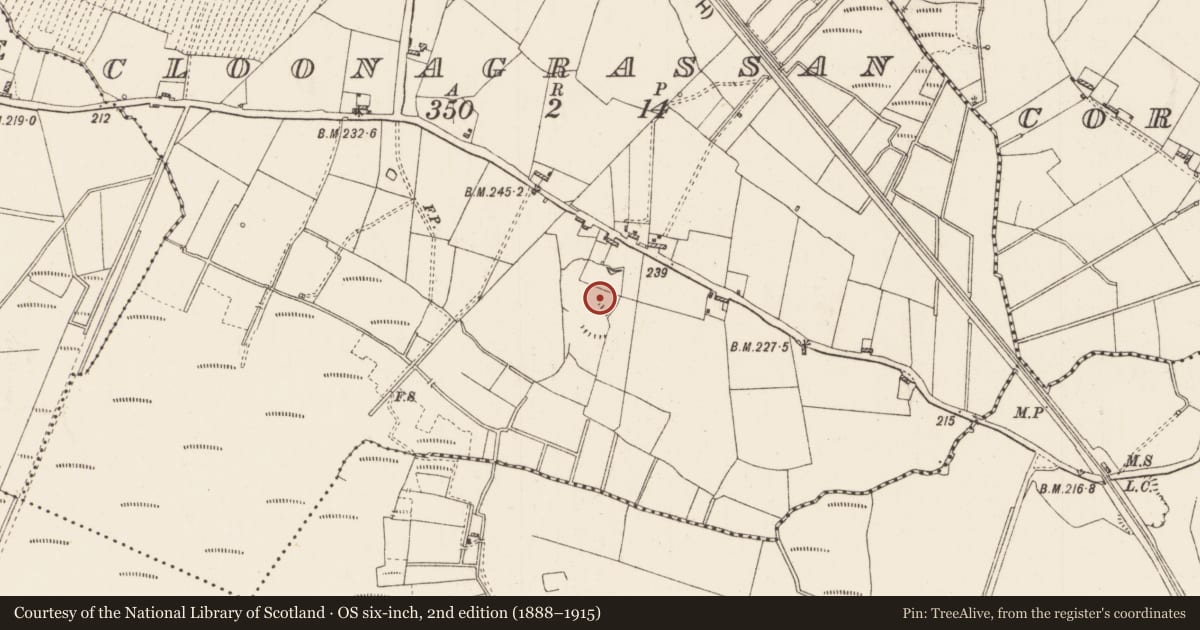 Ordnance Survey six-inch map, 2nd edition (1888–1915) covering the location of Ringfort - rath, Cloonagrassan, County Roscommon, with a pin at the register's coordinates