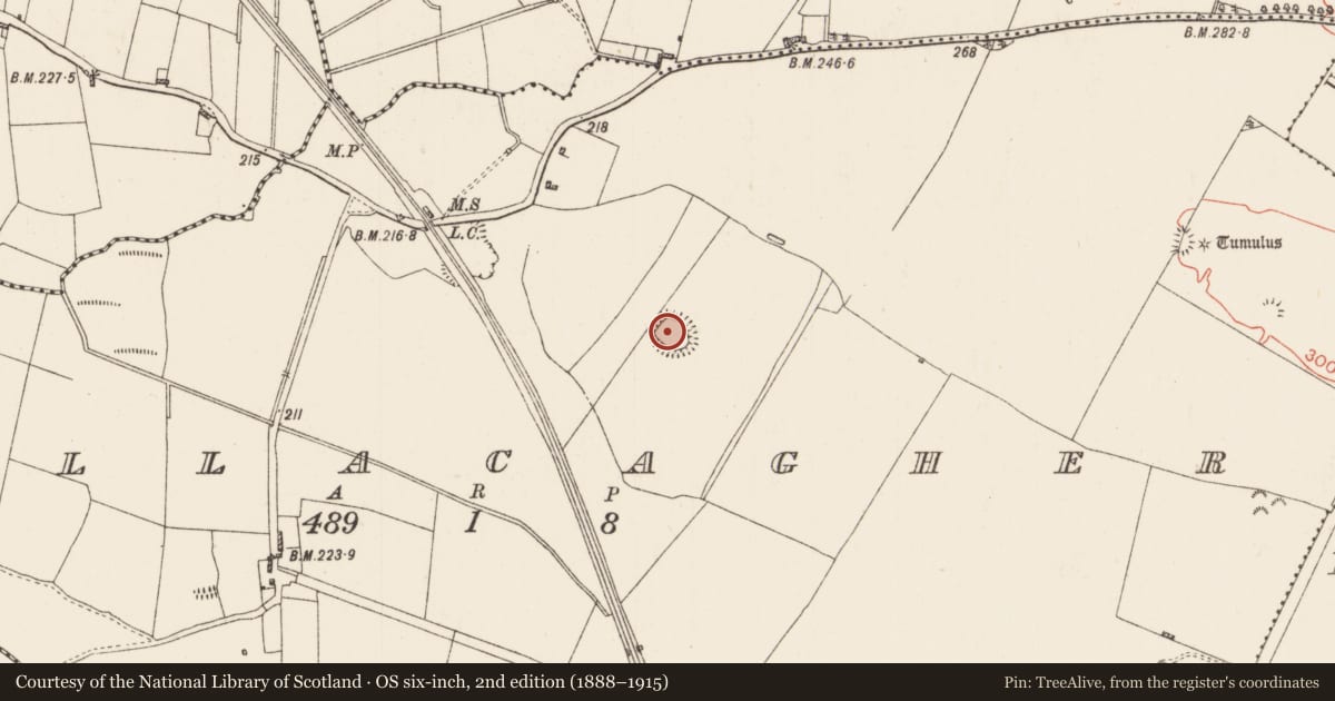 Ordnance Survey six-inch map, 2nd edition (1888–1915) covering the location of Ringfort - rath, Bellacagher, County Roscommon, with a pin at the register's coordinates