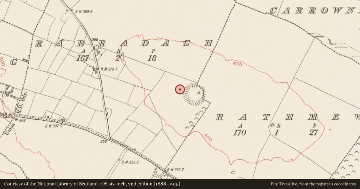 Ordnance Survey six-inch map, 2nd edition (1888–1915) covering the location of Barrow - ring-barrow, Rabradagh, County Roscommon, with a pin at the register's coordinates