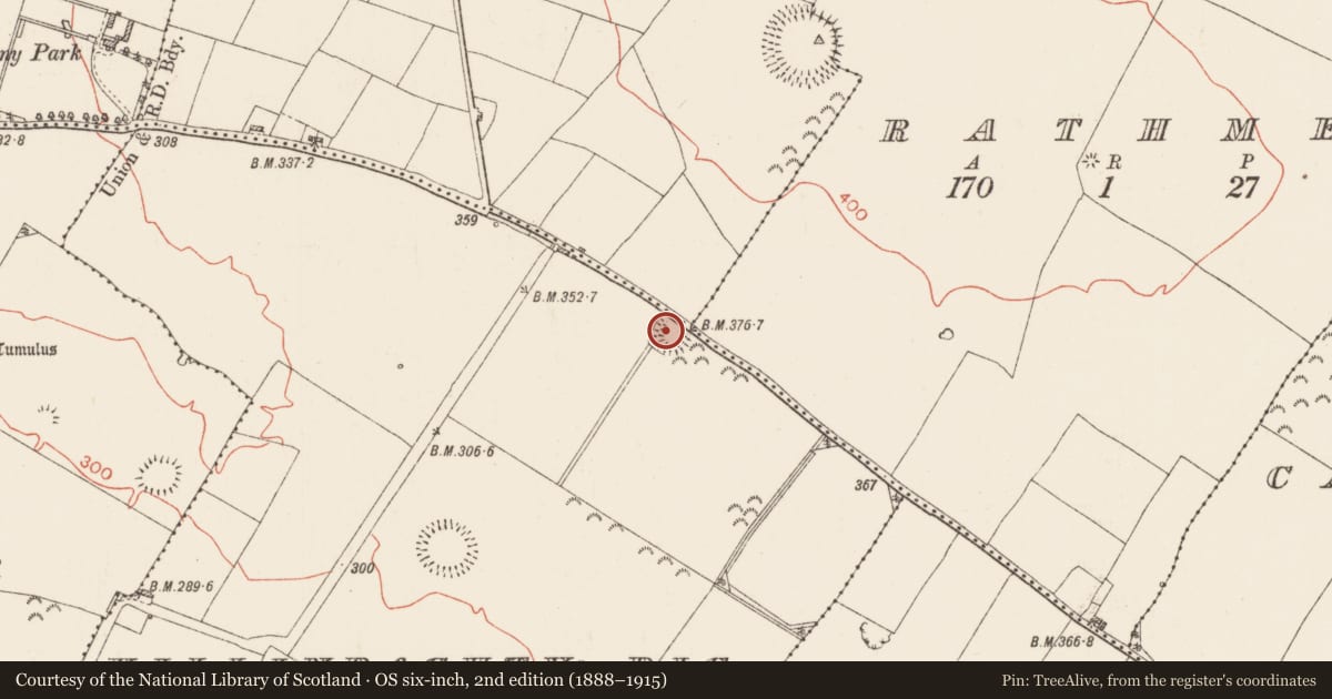 Ordnance Survey six-inch map, 2nd edition (1888–1915) covering the location of Ringfort - rath, Killinraghty Big, County Roscommon, with a pin at the register's coordinates