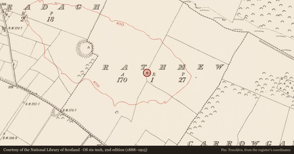 Ordnance Survey six-inch map, 2nd edition (1888–1915) covering the location of Barrow - ring-barrow, Rathmew, County Roscommon, with a pin at the register's coordinates
