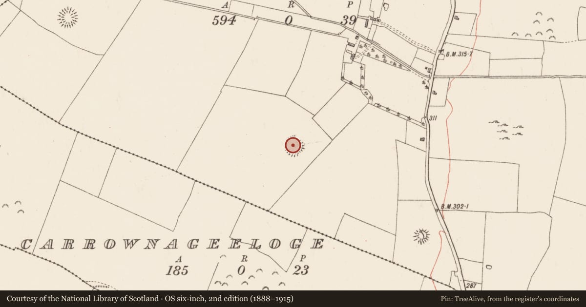 Ordnance Survey six-inch map, 2nd edition (1888–1915) covering the location of Ringfort - rath, Newtown, County Roscommon, with a pin at the register's coordinates