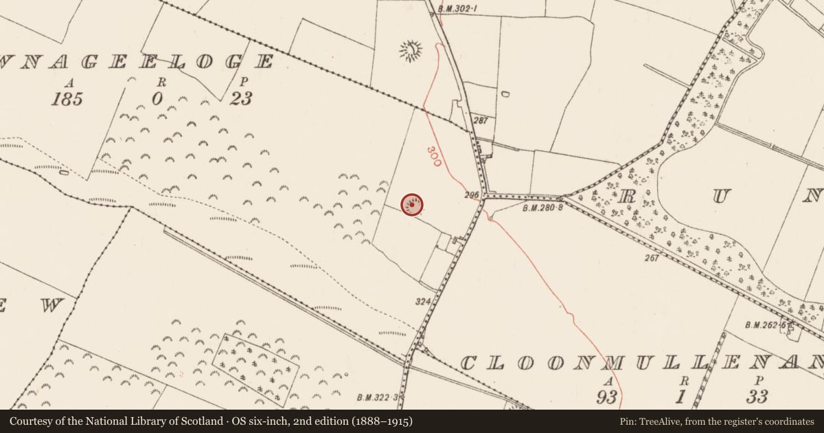 Ordnance Survey six-inch map, 2nd edition (1888–1915) covering the location of Ringfort - rath, Carrownageeloge, County Roscommon, with a pin at the register's coordinates