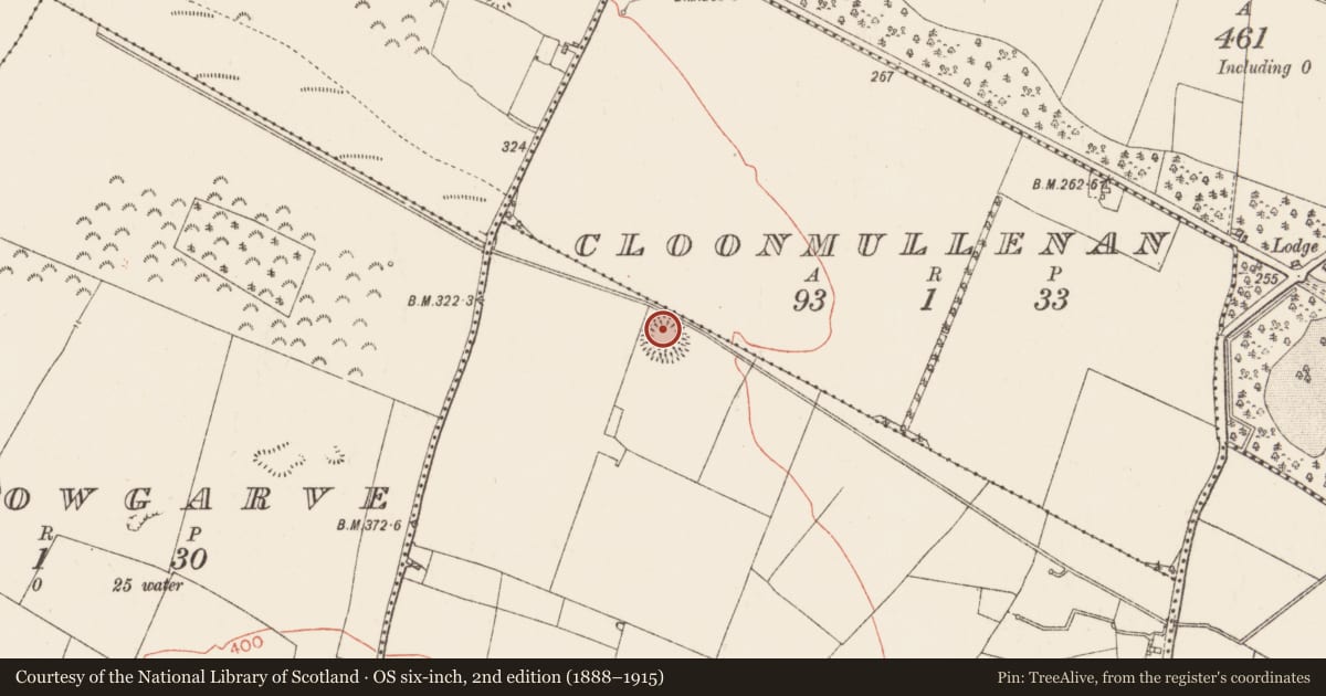 Ordnance Survey six-inch map, 2nd edition (1888–1915) covering the location of Ringfort - rath, Creeve, County Roscommon, with a pin at the register's coordinates