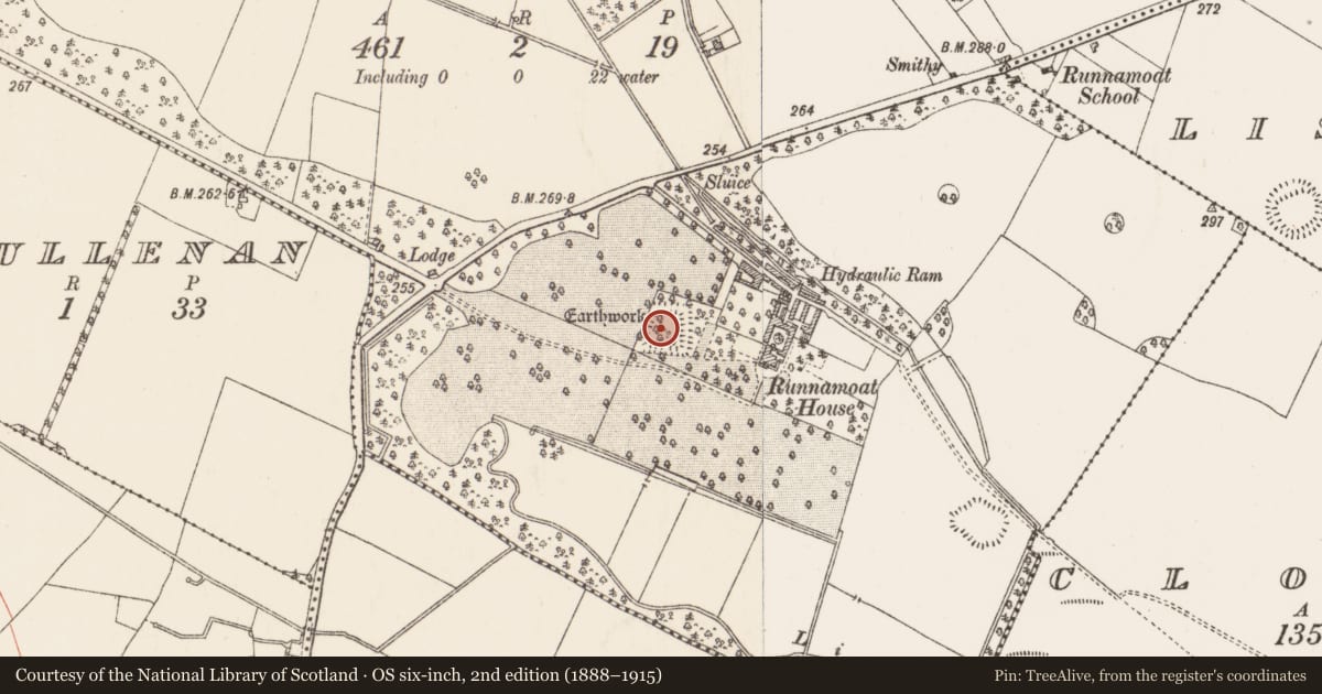 Ordnance Survey six-inch map, 2nd edition (1888–1915) covering the location of Moated site, Runnamoat, County Roscommon, with a pin at the register's coordinates