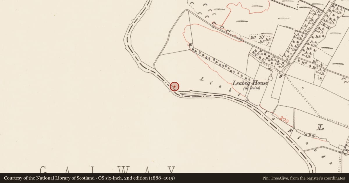 Ordnance Survey six-inch map, 2nd edition (1888–1915) covering the location of Moated site, Leabeg, County Roscommon, with a pin at the register's coordinates