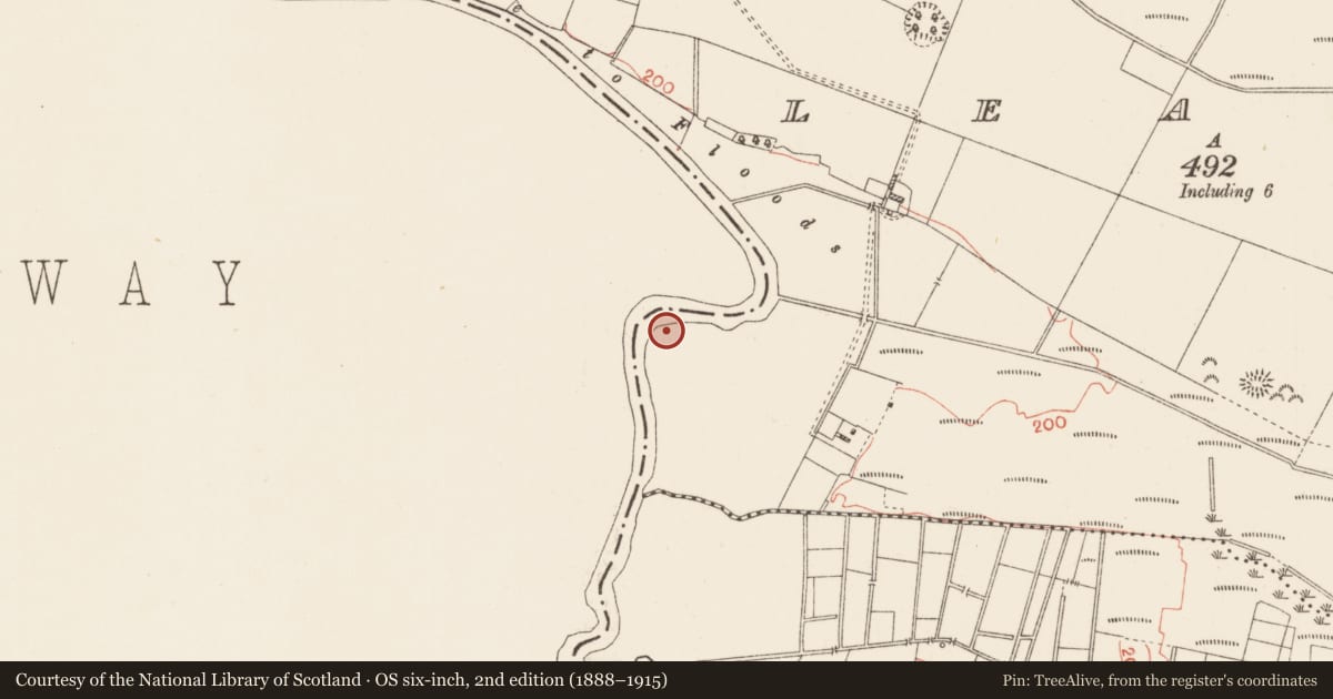 Ordnance Survey six-inch map, 2nd edition (1888–1915) covering the location of Moated site, Leabeg, County Roscommon, with a pin at the register's coordinates