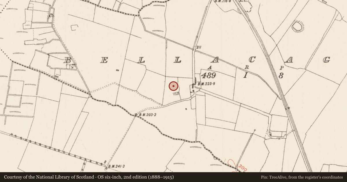 Ordnance Survey six-inch map, 2nd edition (1888–1915) covering the location of Ringfort - rath, Bellacagher, County Roscommon, with a pin at the register's coordinates