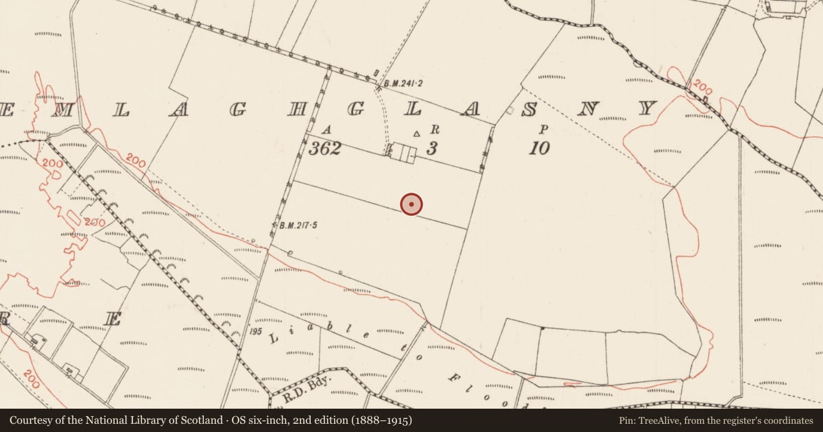 Ordnance Survey six-inch map, 2nd edition (1888–1915) covering the location of Burial, Emlaghglasny, County Roscommon, with a pin at the register's coordinates