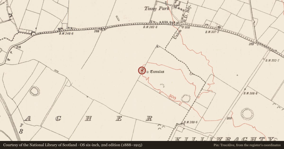 Ordnance Survey six-inch map, 2nd edition (1888–1915) covering the location of Ringfort - rath, Bellacagher, County Roscommon, with a pin at the register's coordinates