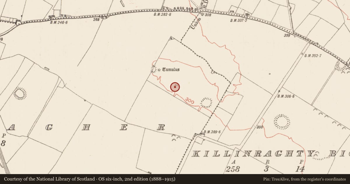 Ordnance Survey six-inch map, 2nd edition (1888–1915) covering the location of Ringfort - rath, Bellacagher, County Roscommon, with a pin at the register's coordinates