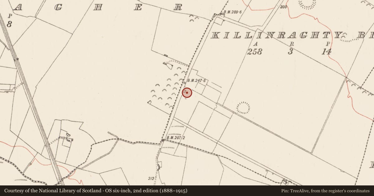 Ordnance Survey six-inch map, 2nd edition (1888–1915) covering the location of House - 17th century, Killinraghty Big, County Roscommon, with a pin at the register's coordinates