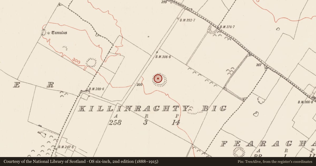 Ordnance Survey six-inch map, 2nd edition (1888–1915) covering the location of Ringfort - rath, Killinraghty Big, County Roscommon, with a pin at the register's coordinates
