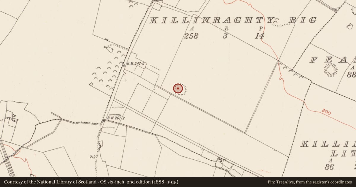 Ordnance Survey six-inch map, 2nd edition (1888–1915) covering the location of Ringfort - rath, Killinraghty Big, County Roscommon, with a pin at the register's coordinates