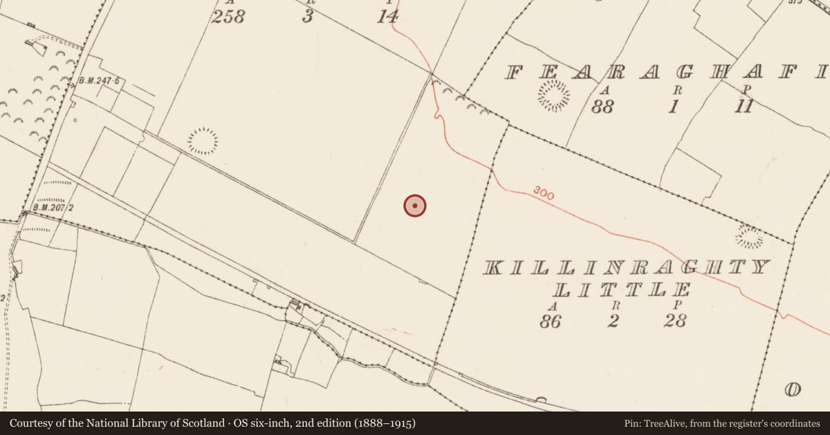 Ordnance Survey six-inch map, 2nd edition (1888–1915) covering the location of Church, Killinraghty Big, County Roscommon, with a pin at the register's coordinates
