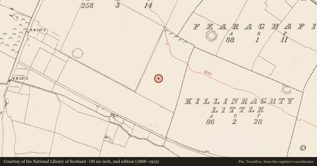 Ordnance Survey six-inch map, 2nd edition (1888–1915) covering the location of Graveyard, Killinraghty Big, County Roscommon, with a pin at the register's coordinates