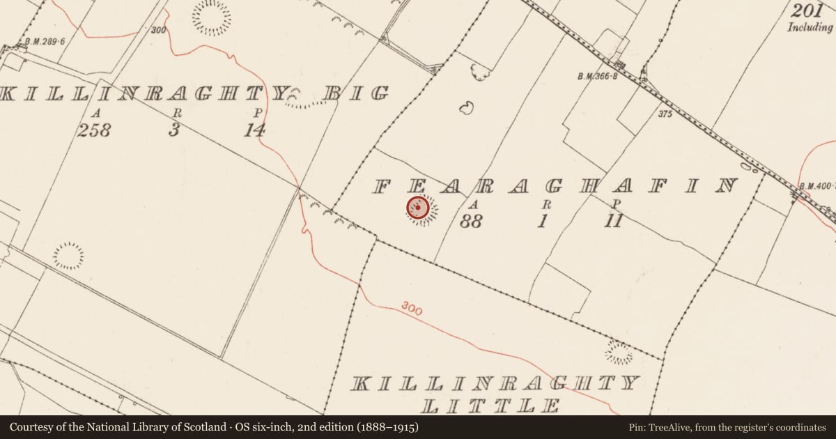 Ordnance Survey six-inch map, 2nd edition (1888–1915) covering the location of Ringfort - rath, Fearaghafin, County Roscommon, with a pin at the register's coordinates