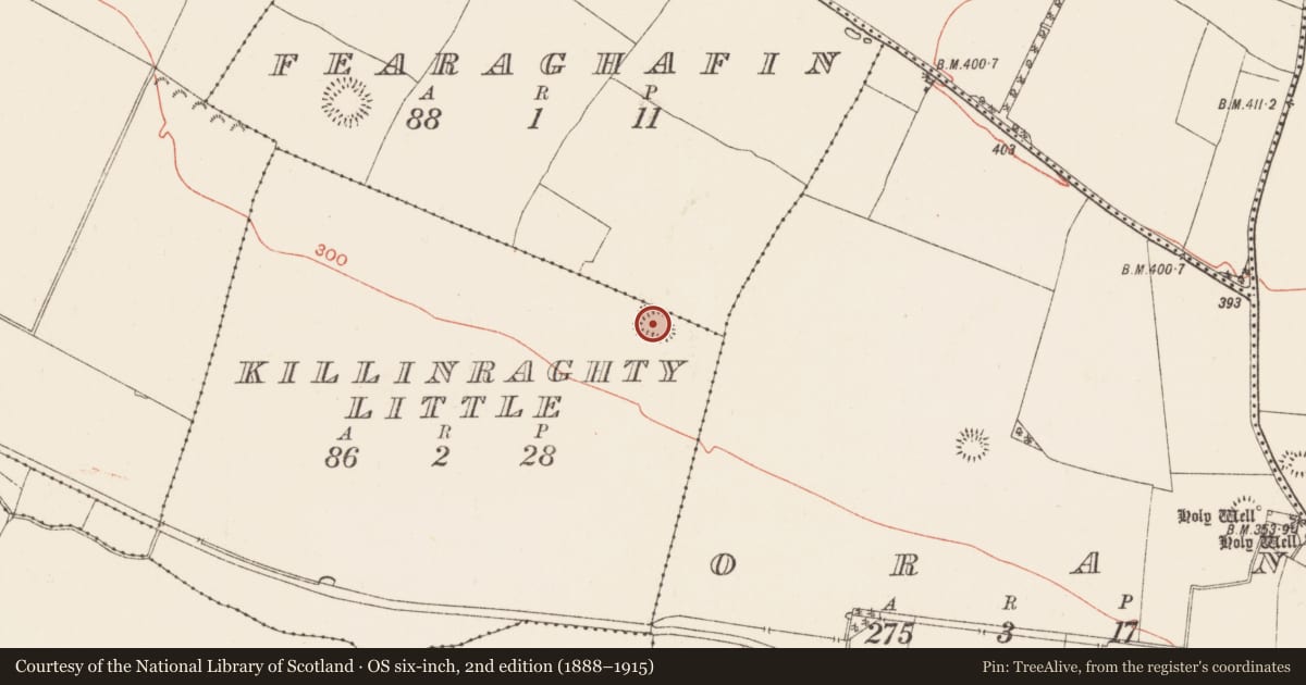 Ordnance Survey six-inch map, 2nd edition (1888–1915) covering the location of Ringfort - rath, Killinraghty Little, County Roscommon, with a pin at the register's coordinates