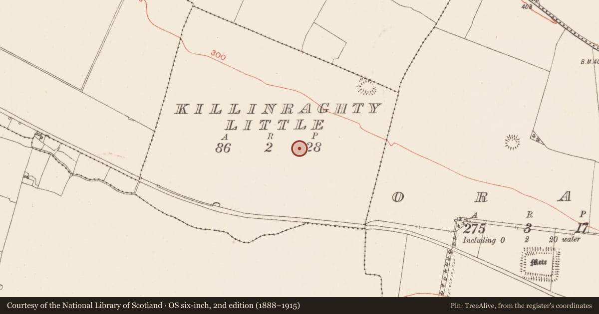 Ordnance Survey six-inch map, 2nd edition (1888–1915) covering the location of Ringfort - rath, Killinraghty Little, County Roscommon, with a pin at the register's coordinates